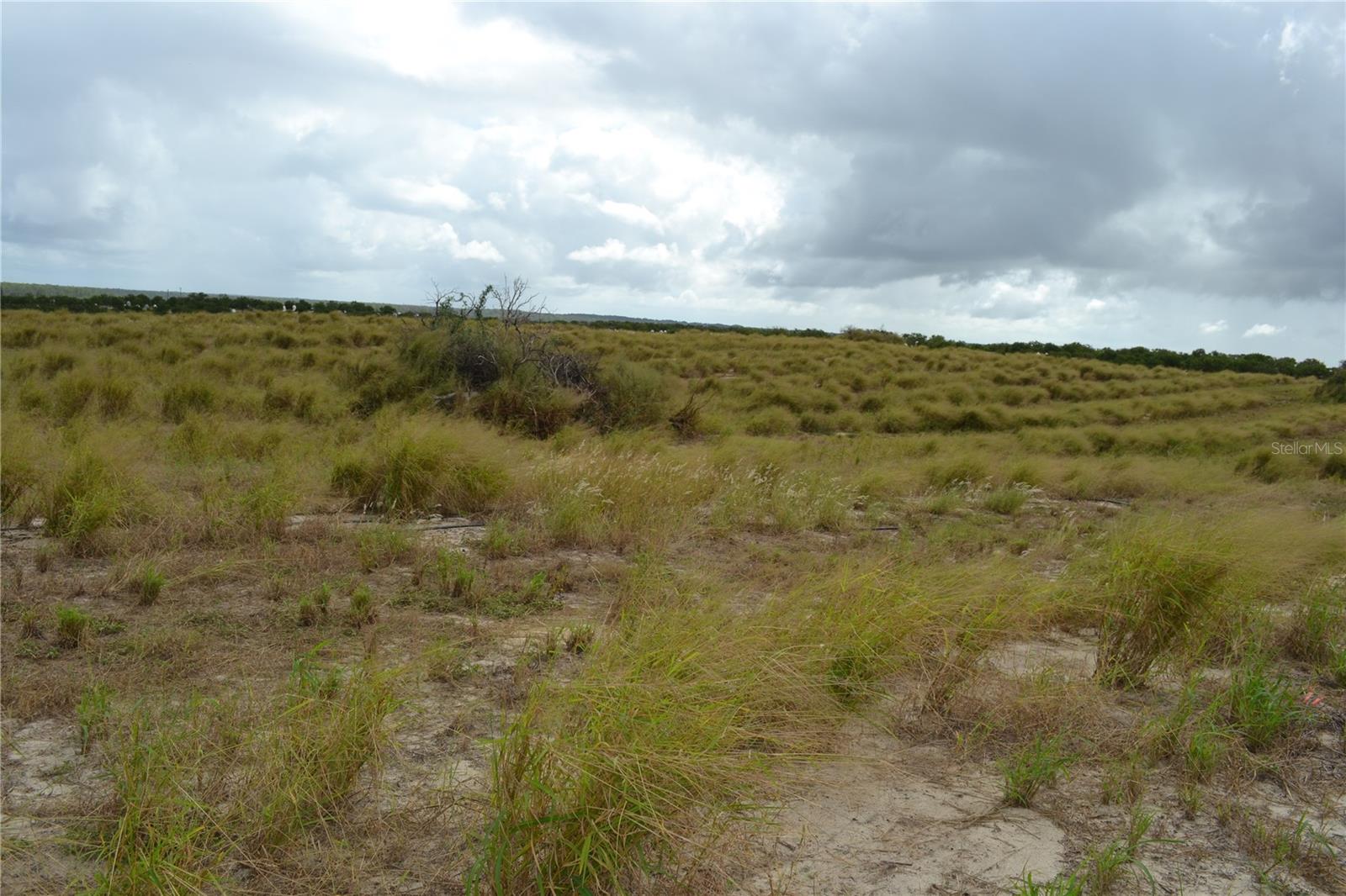 Image 10 of 15 For Lake Patrick Road N