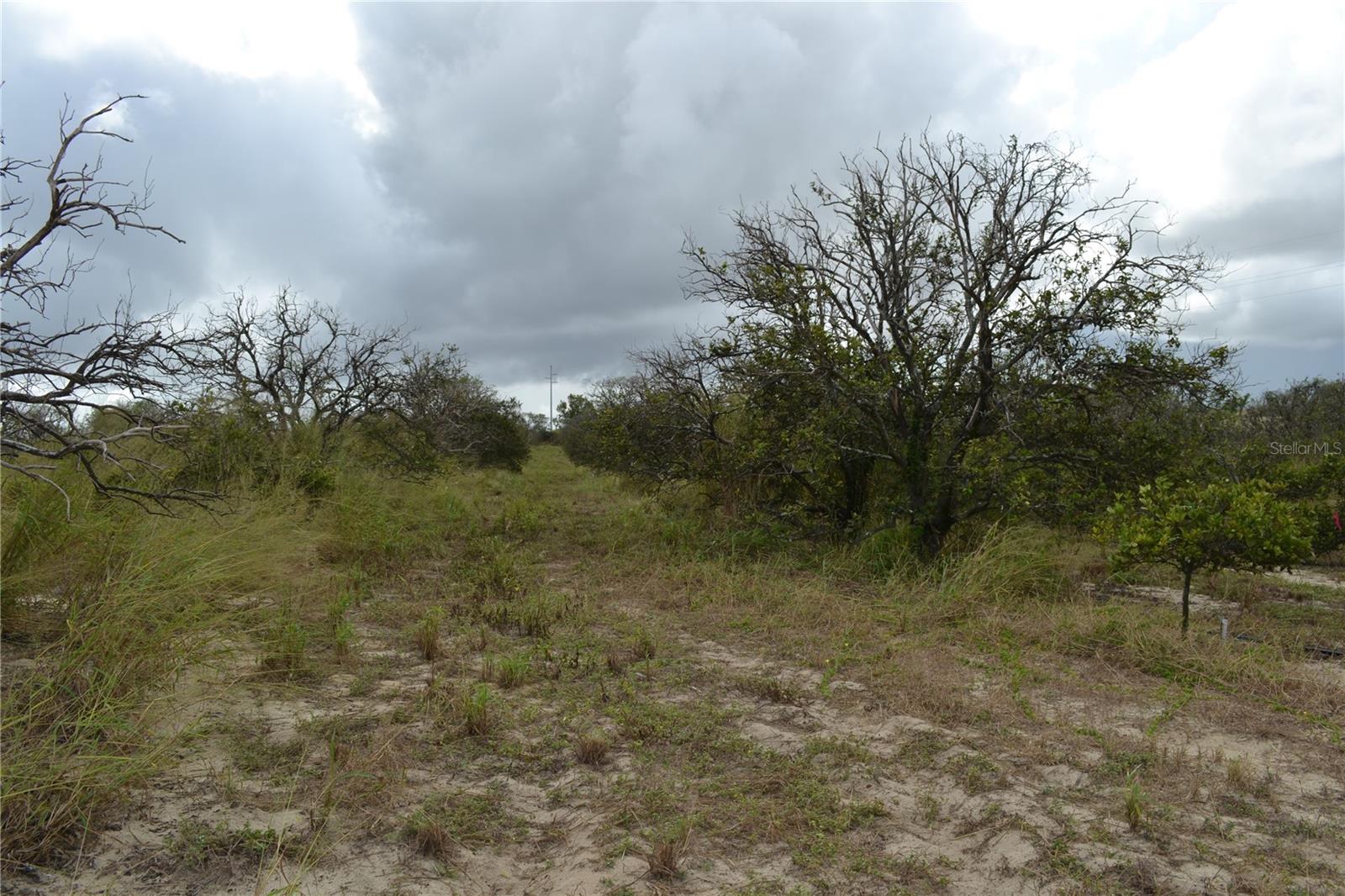 Image 11 of 15 For Lake Patrick Road N