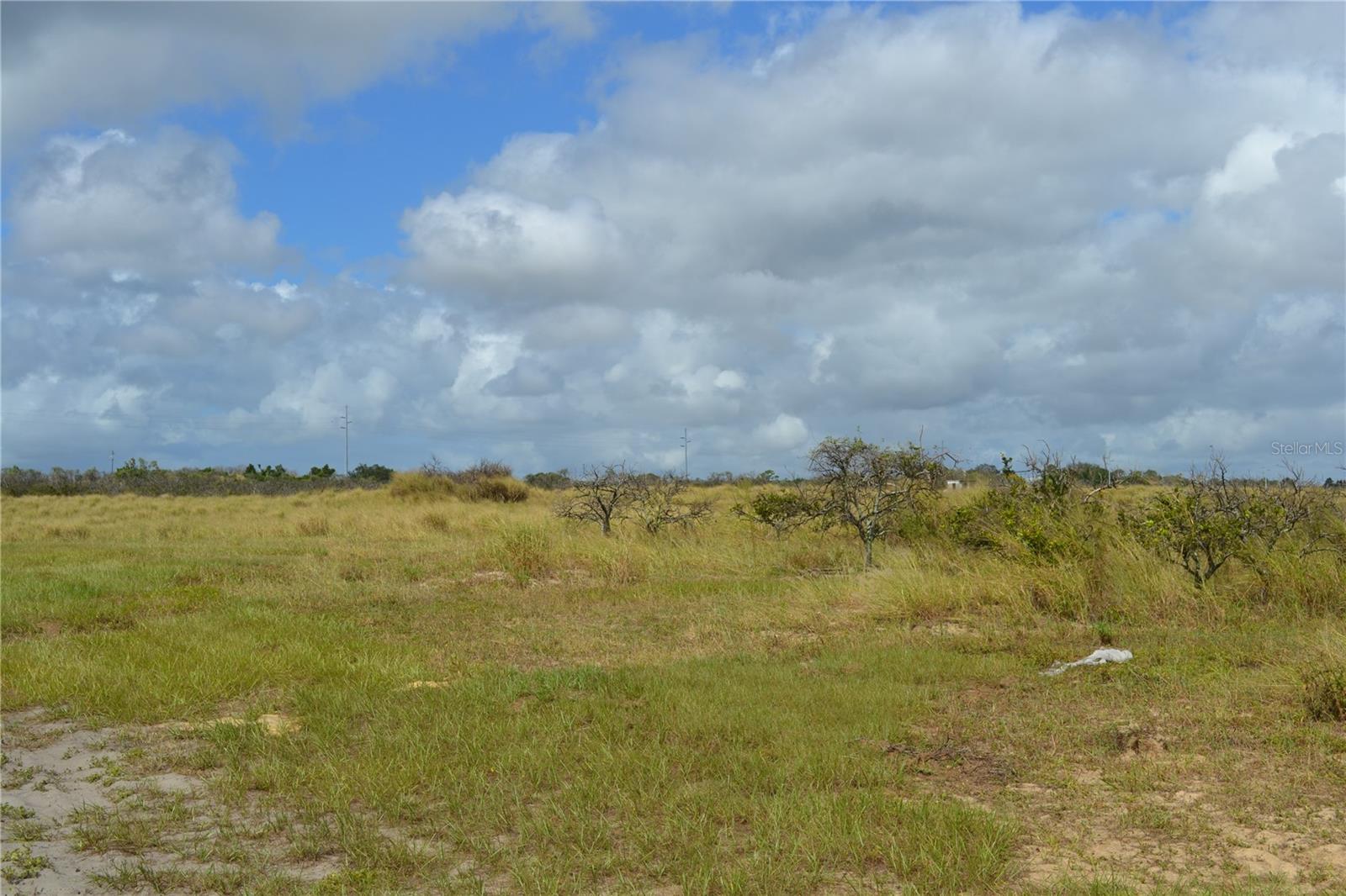 Image 4 of 15 For Lake Patrick Road N