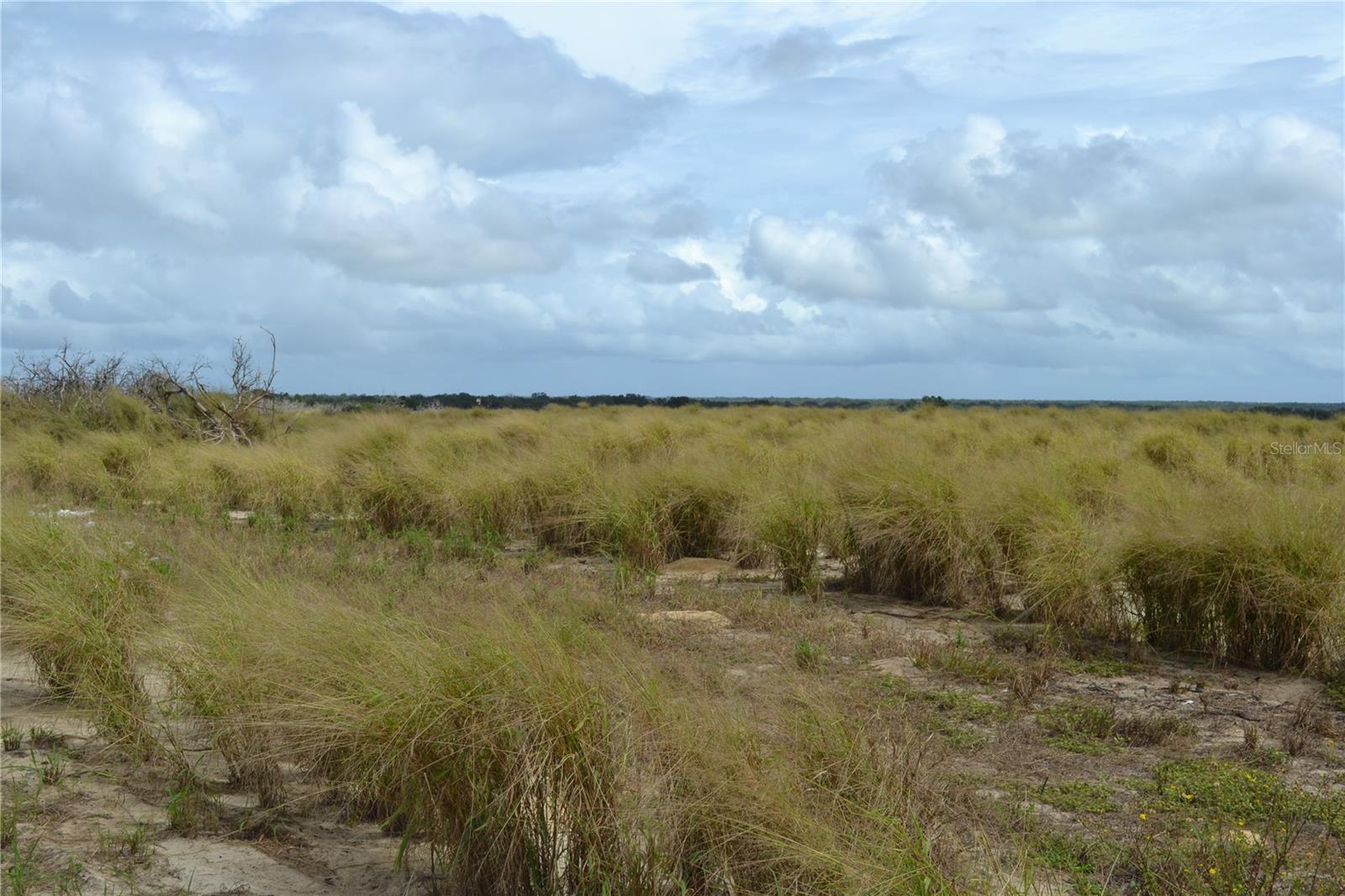 Image 6 of 15 For Lake Patrick Road N