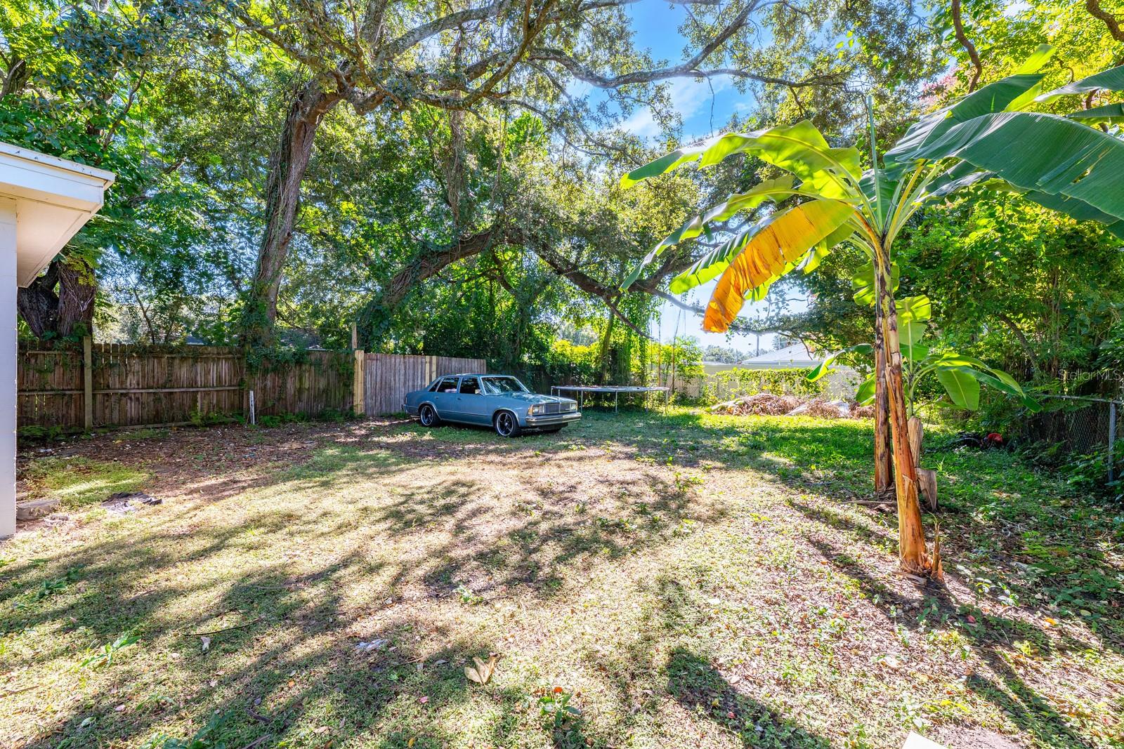 Image 14 of 16 For 808 Miller Street