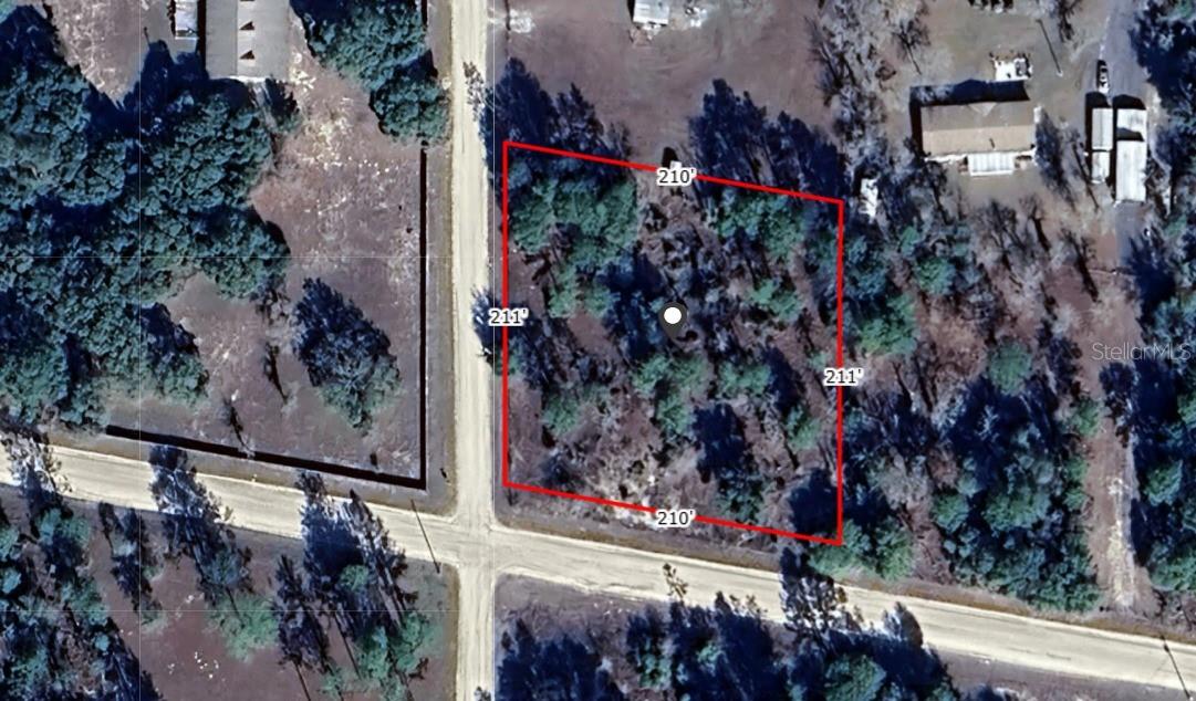 Details for  Ne 8th St  , WILLISTON, FL 32696