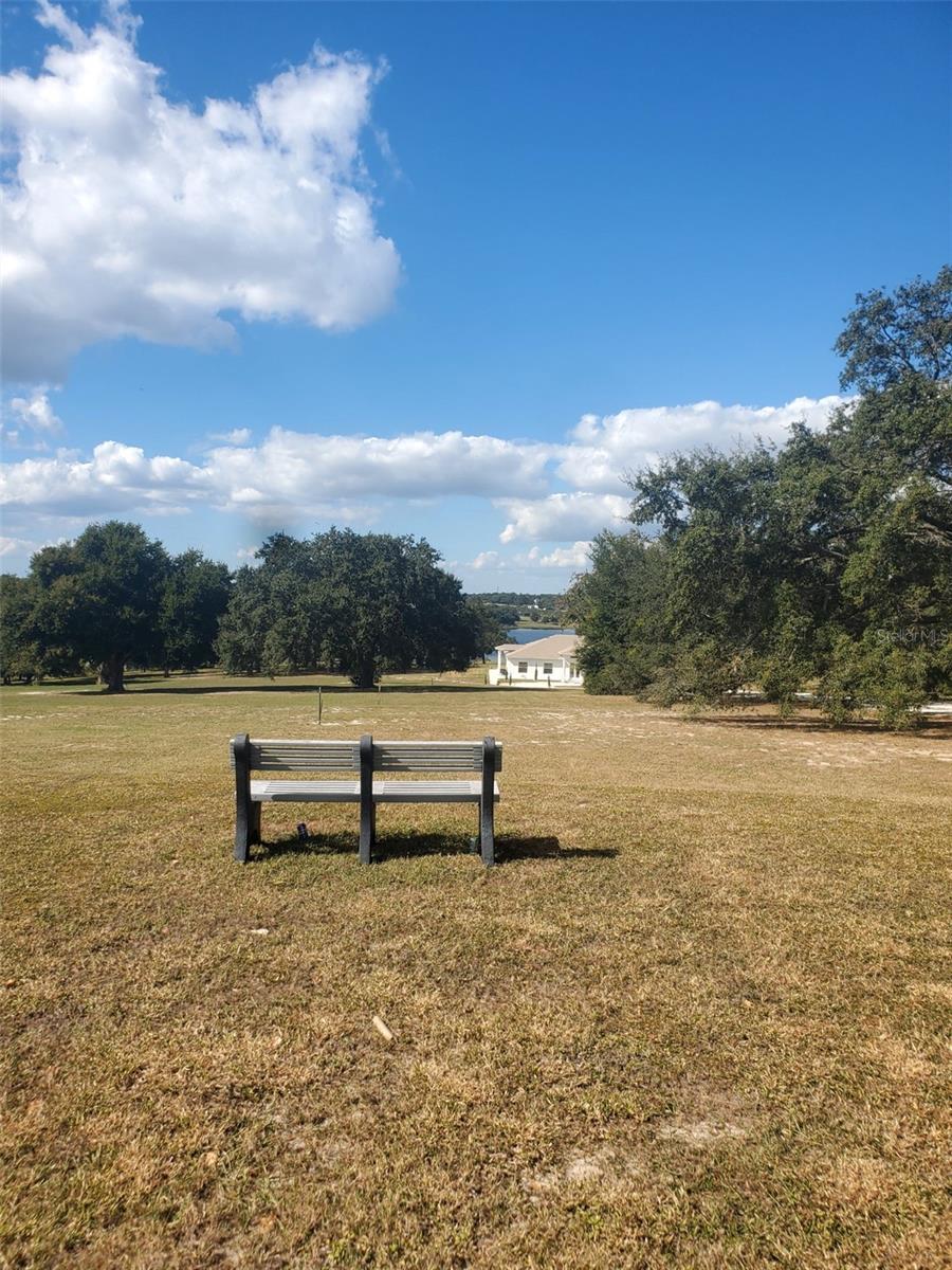 Image 50 of 63 For 11155 Cherry Lake Road