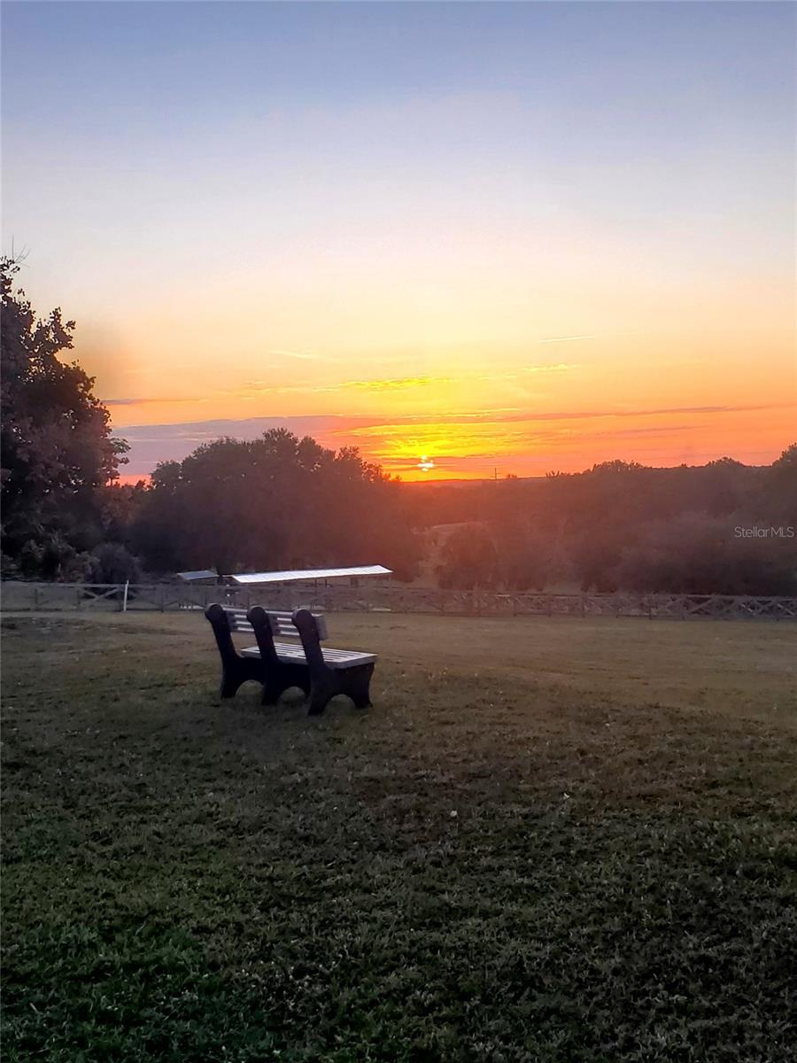 Image 53 of 63 For 11155 Cherry Lake Road