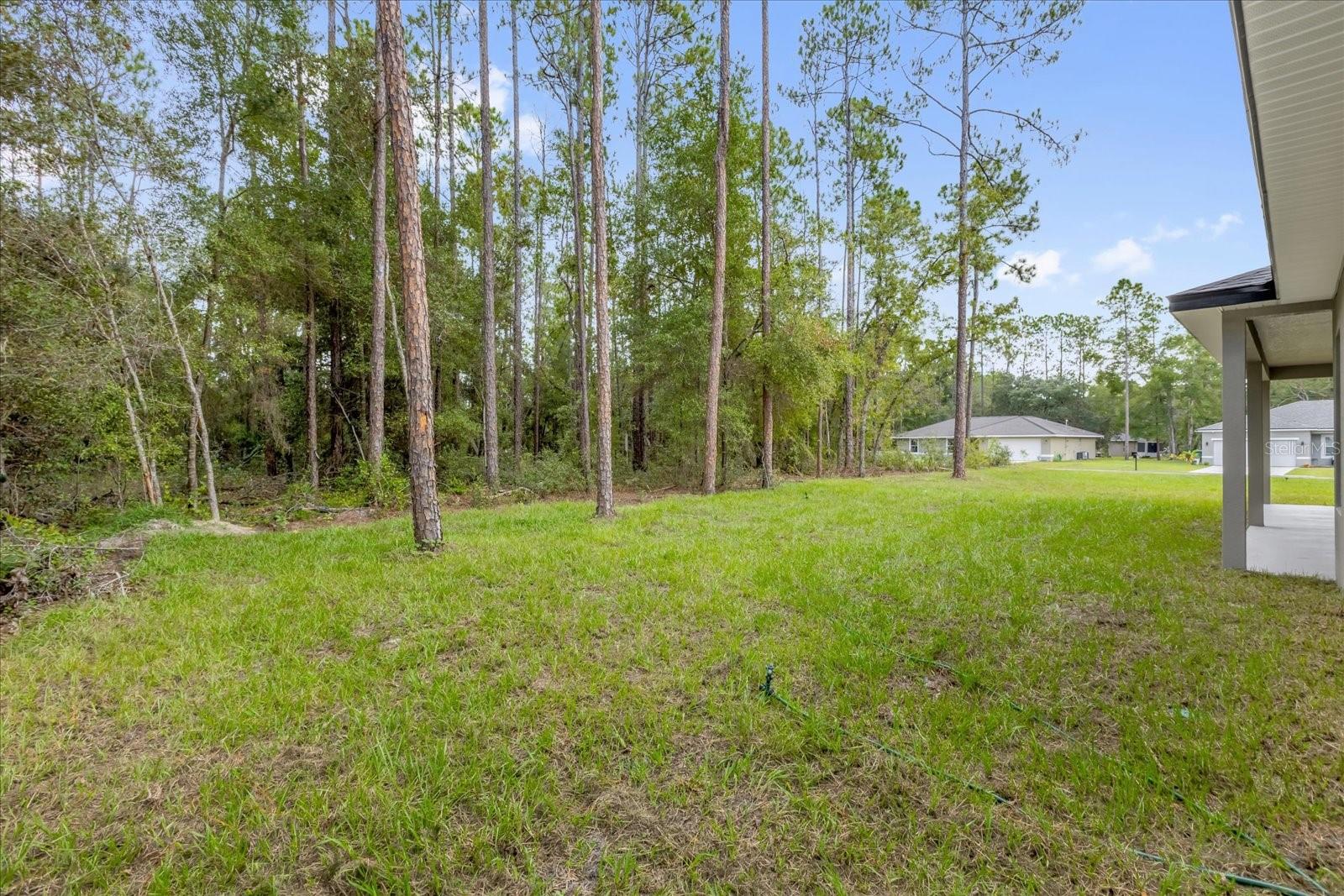 Image 26 of 31 For 10188 Empress Circle