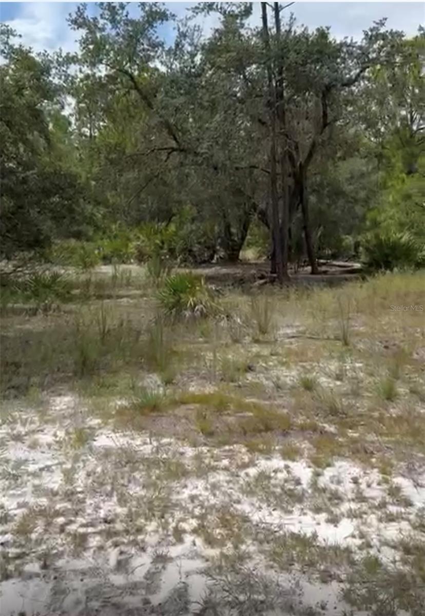 Image 3 of 4 For Orchid Drive