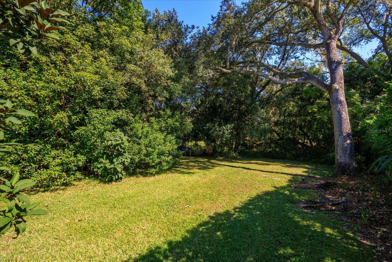 Image 41 of 49 For 203 Sweetwater Cove Boulevard