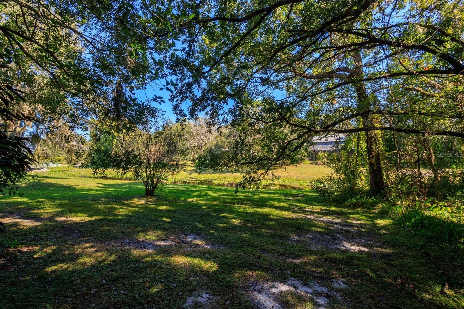 Image 43 of 49 For 203 Sweetwater Cove Boulevard