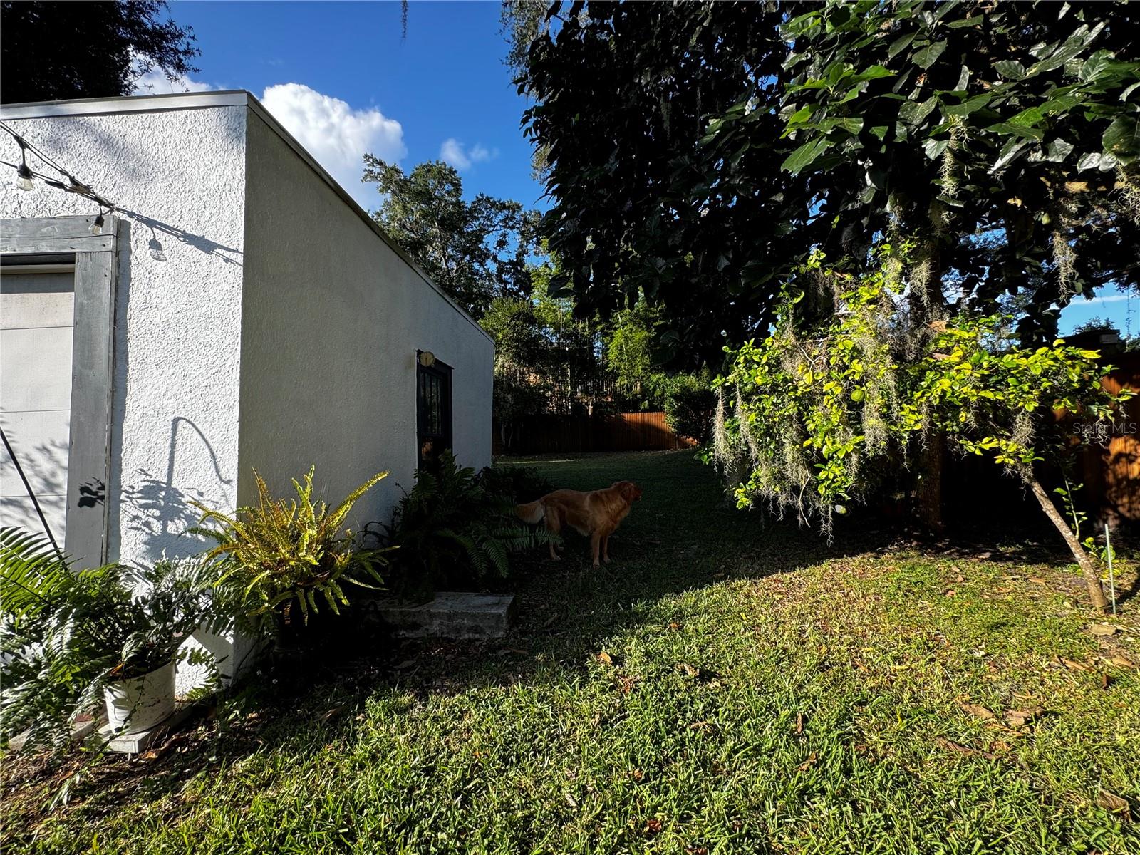 Image 28 of 34 For 1819 Central Boulevard