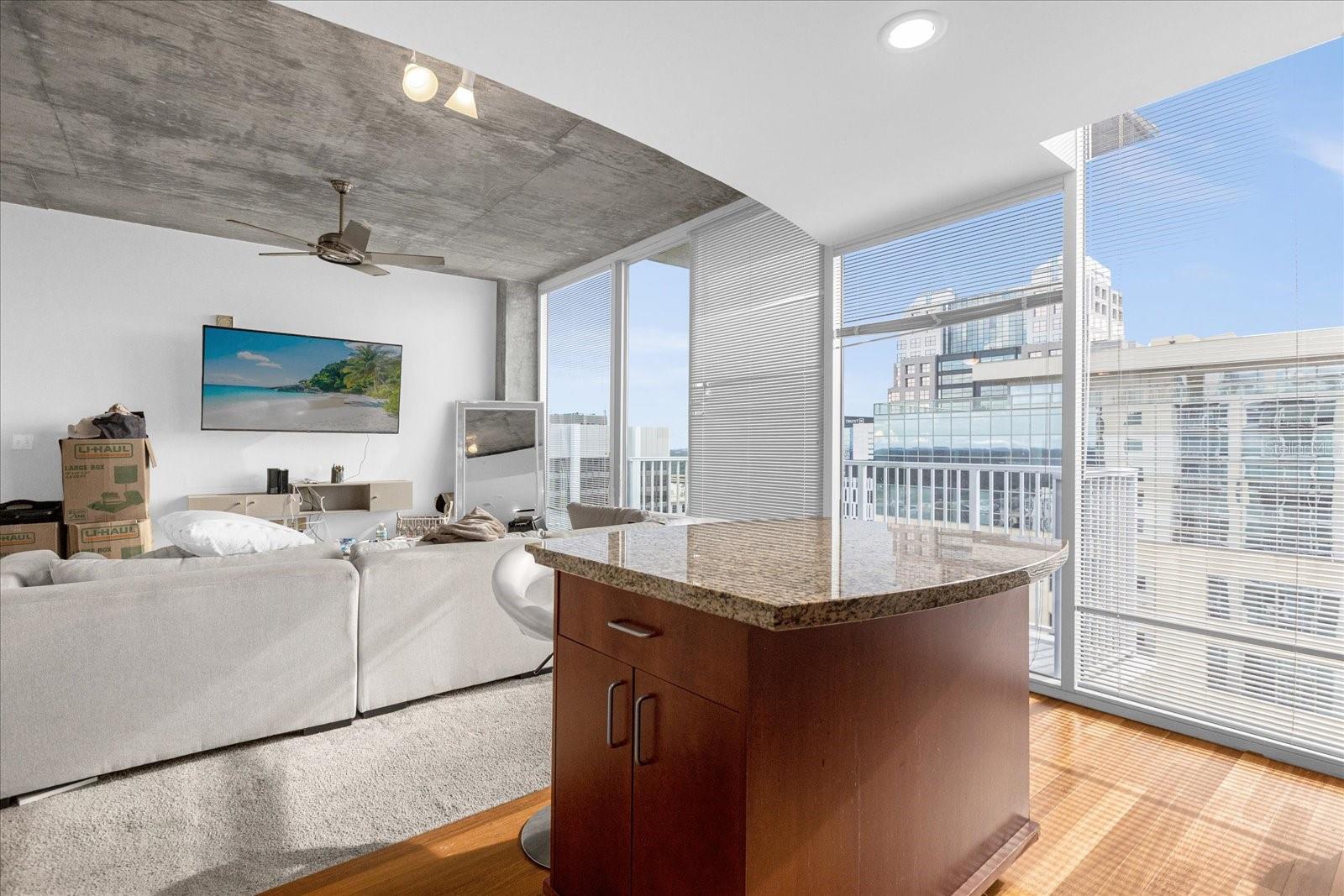 Image 8 of 20 For 155 Court Avenue 2208
