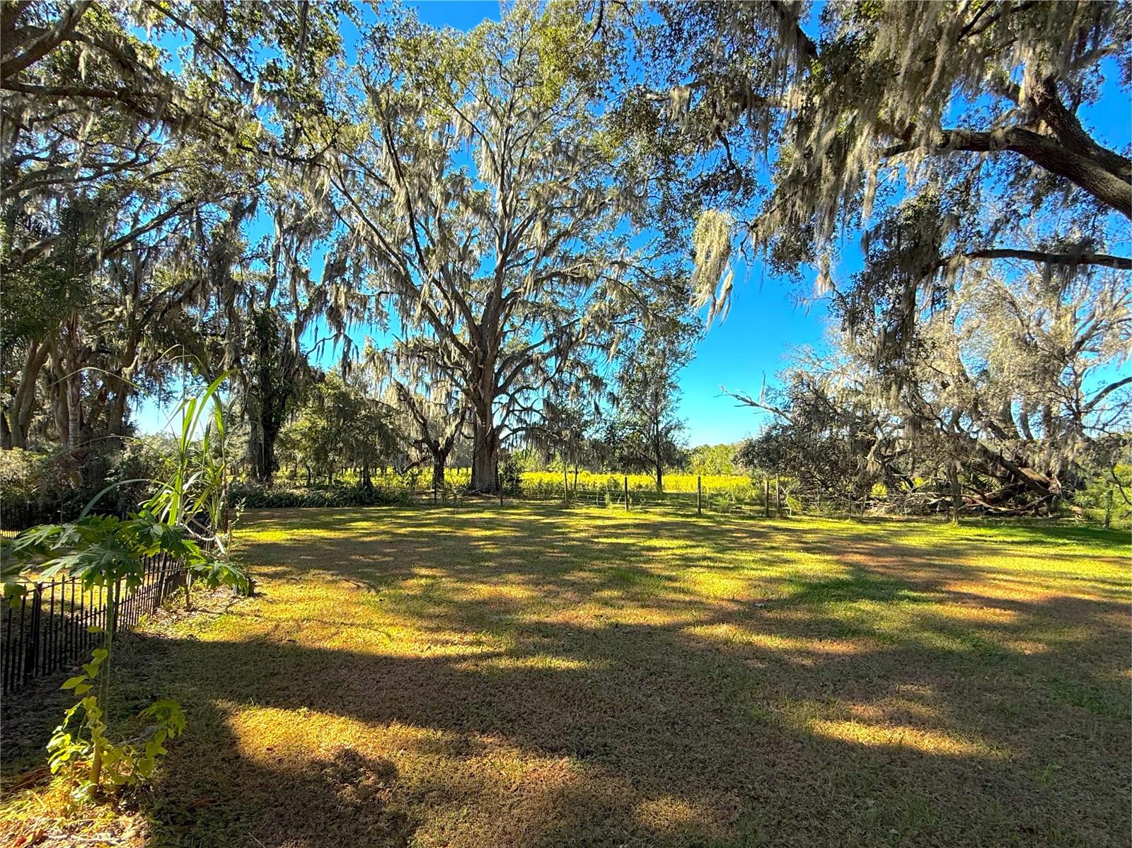 Image 44 of 48 For 5901 Deer Flag Drive