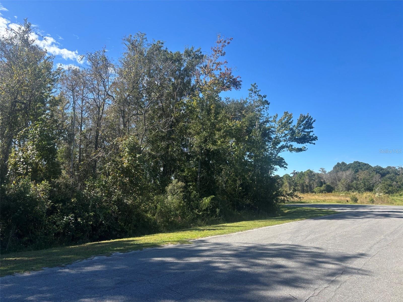 Image 2 of 3 For 0 Newburg Street