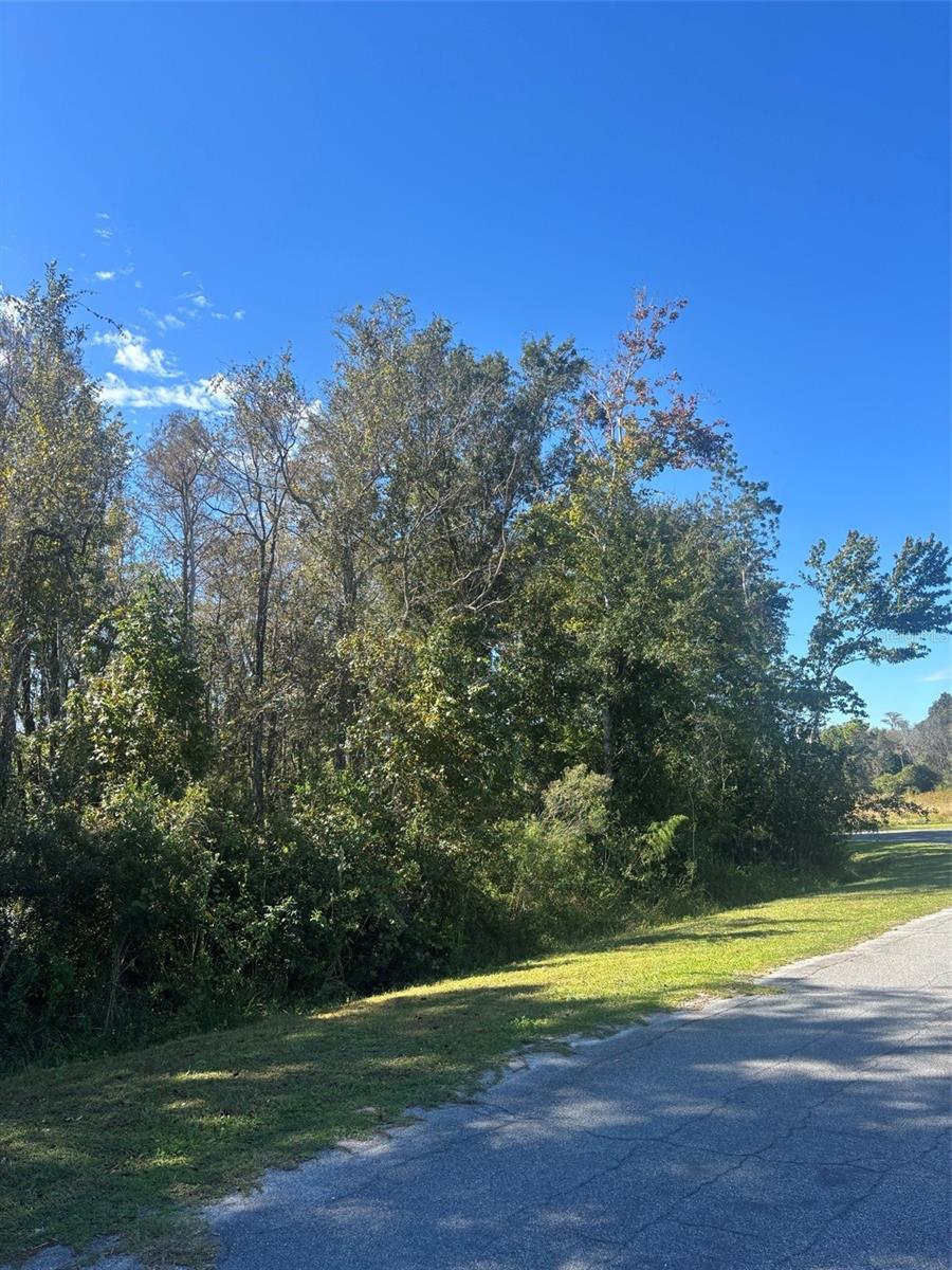 Image 3 of 3 For 0 Newburg Street