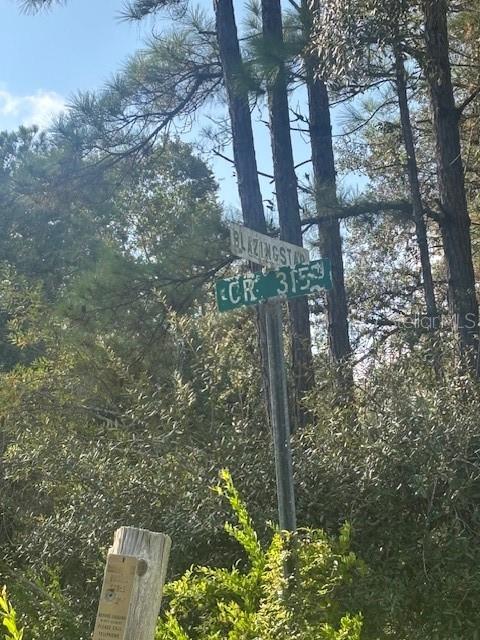 Image 17 of 25 For 000 Stardust Lane