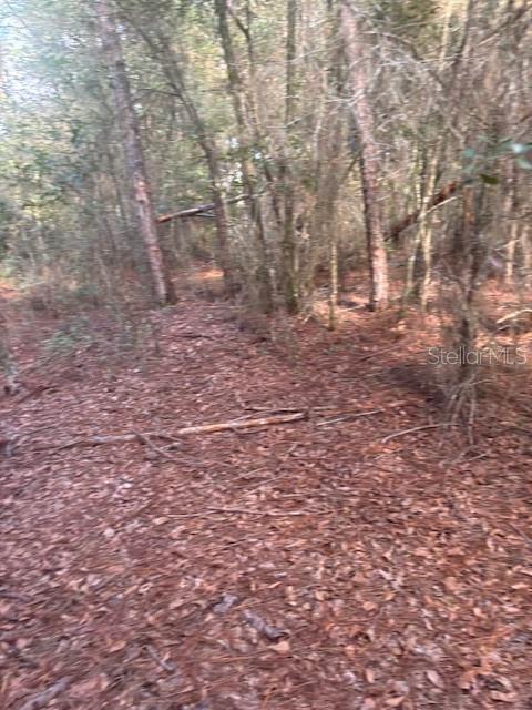 Image 2 of 25 For 000 Stardust Lane