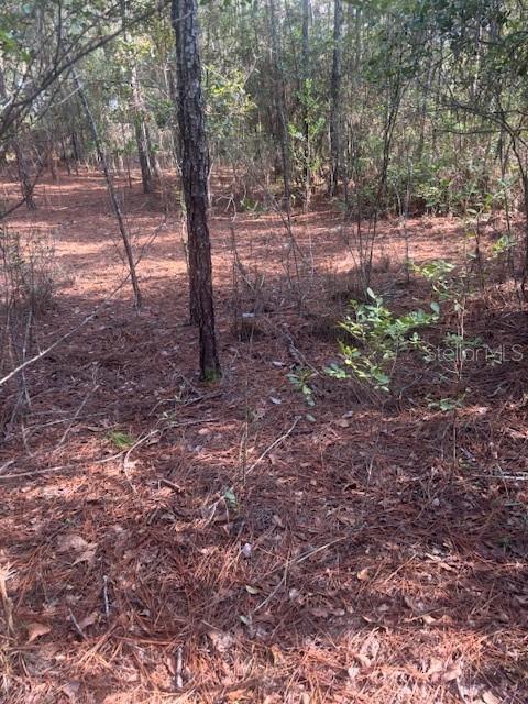 Image 3 of 25 For 000 Stardust Lane