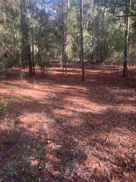 Image 4 of 25 For 000 Stardust Lane