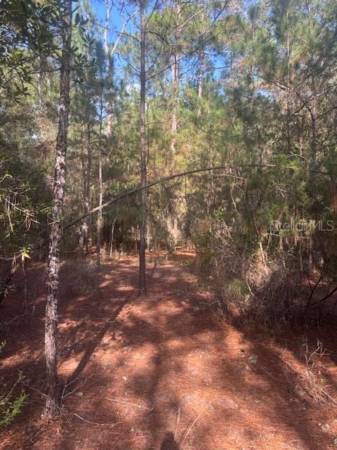 Image 5 of 25 For 000 Stardust Lane