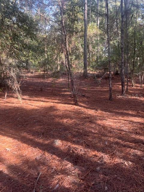 Image 6 of 25 For 000 Stardust Lane