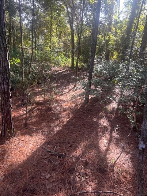 Image 7 of 25 For 000 Stardust Lane