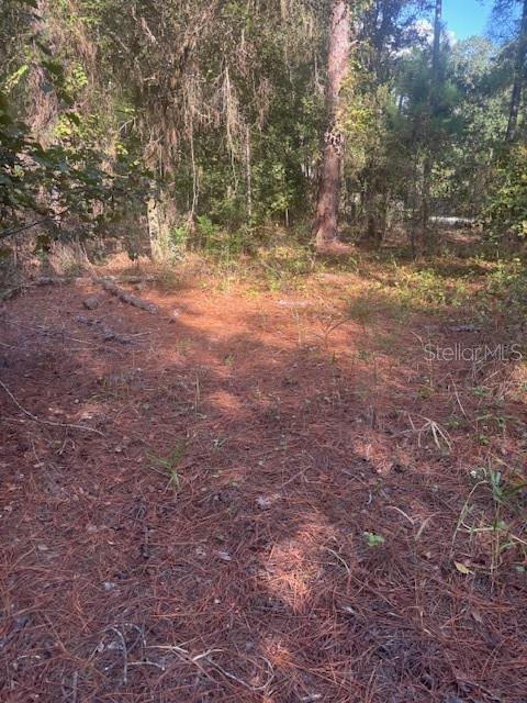 Image 8 of 25 For 000 Stardust Lane