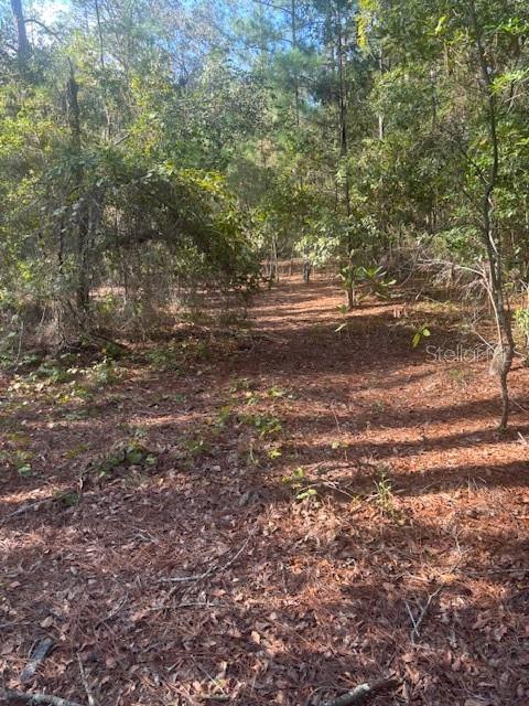 Image 9 of 25 For 000 Stardust Lane