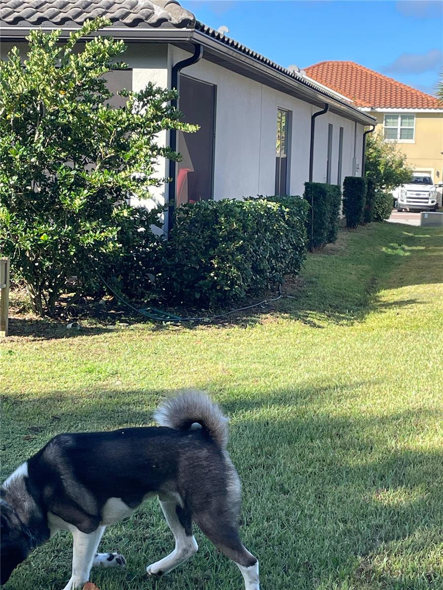 Image 51 of 52 For 3847 Carrick Bend Drive