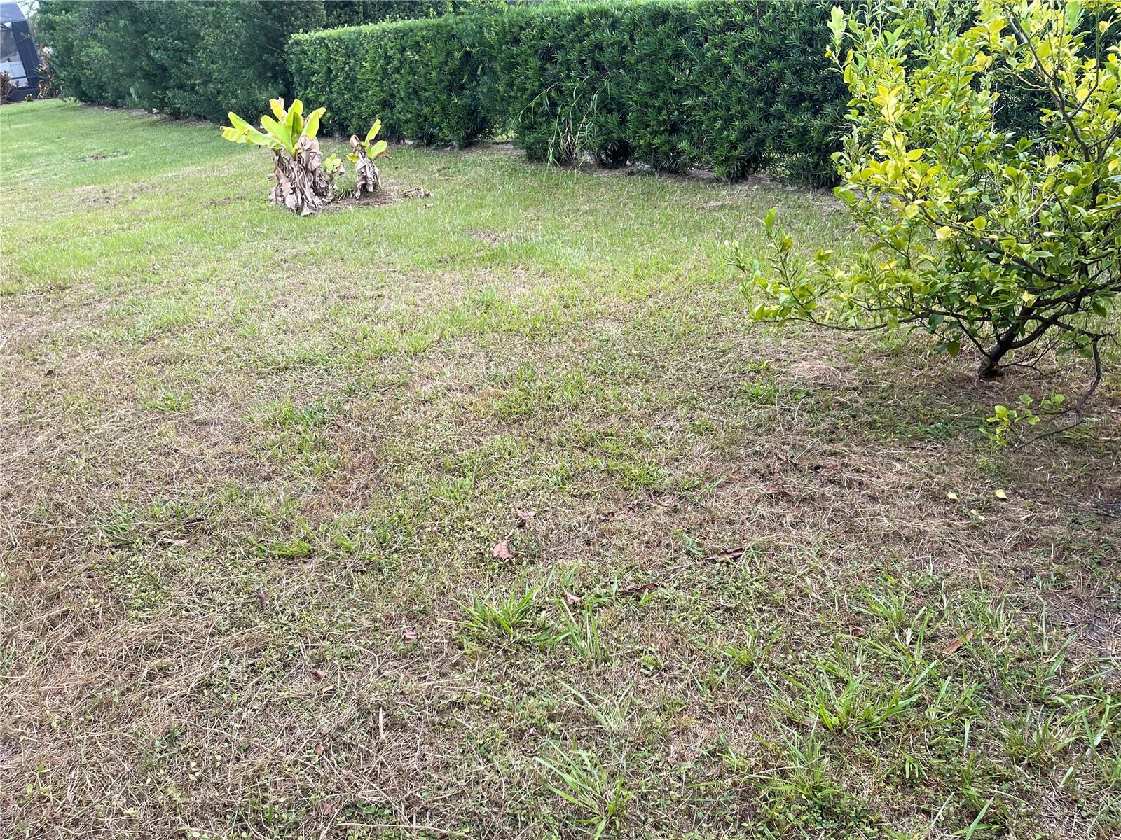 Image 14 of 14 For 1312 Ralph Poe Drive