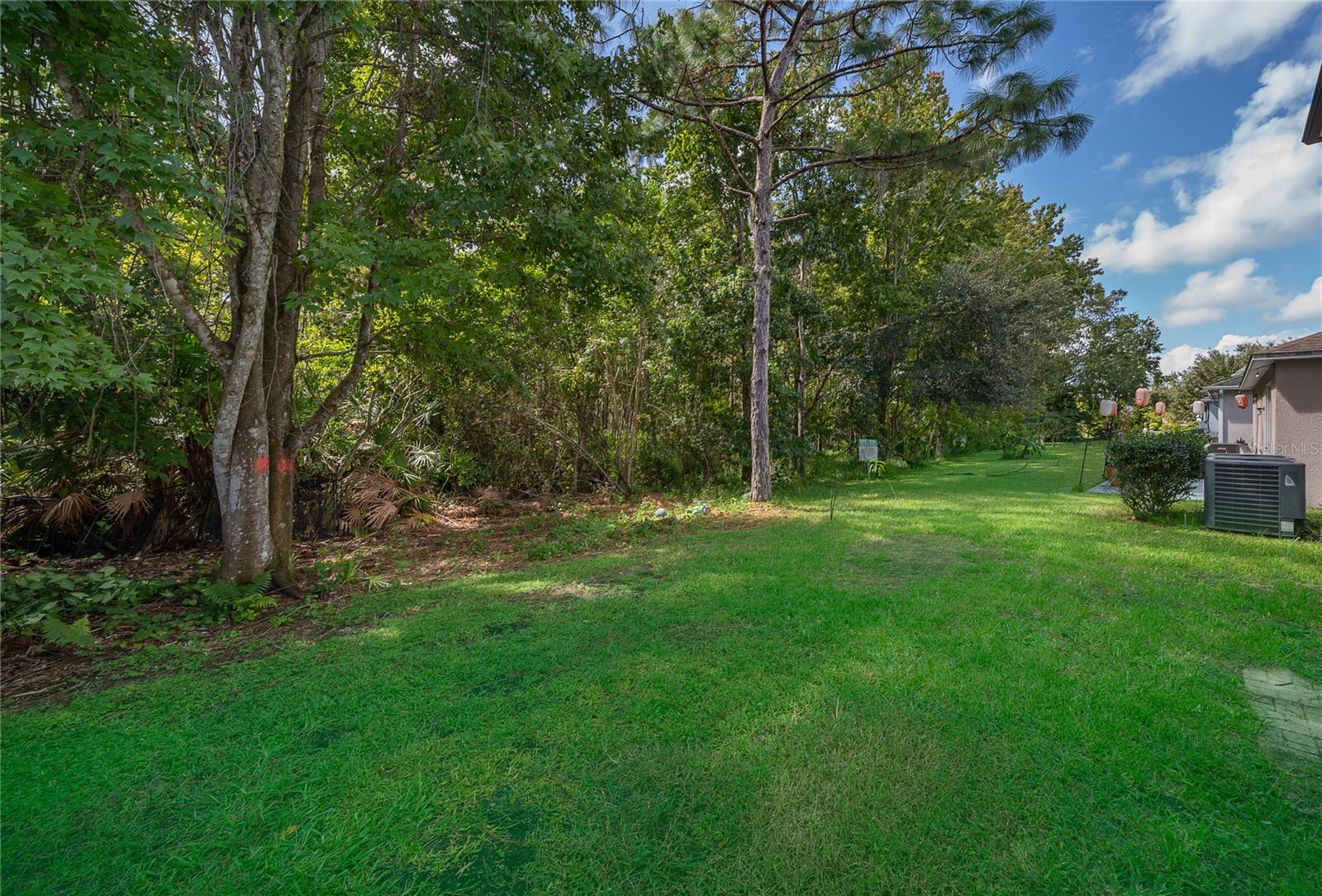 Image 26 of 28 For 9808 Bennington Chase Drive