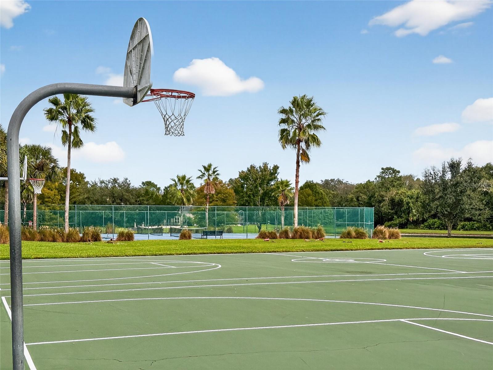 Image 50 of 62 For 3511 Hollow Oak Run