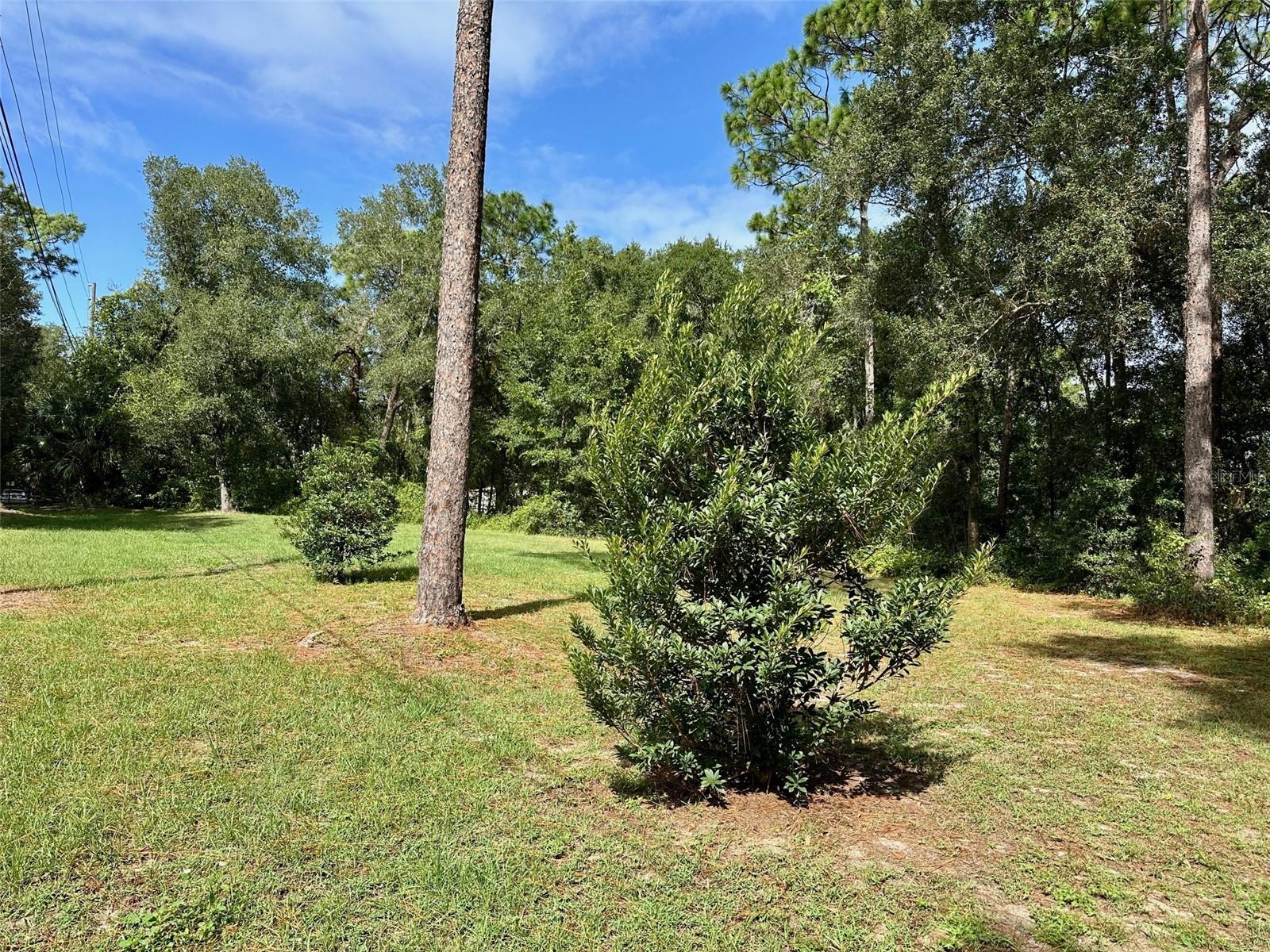 Image 5 of 8 For Thompson Road