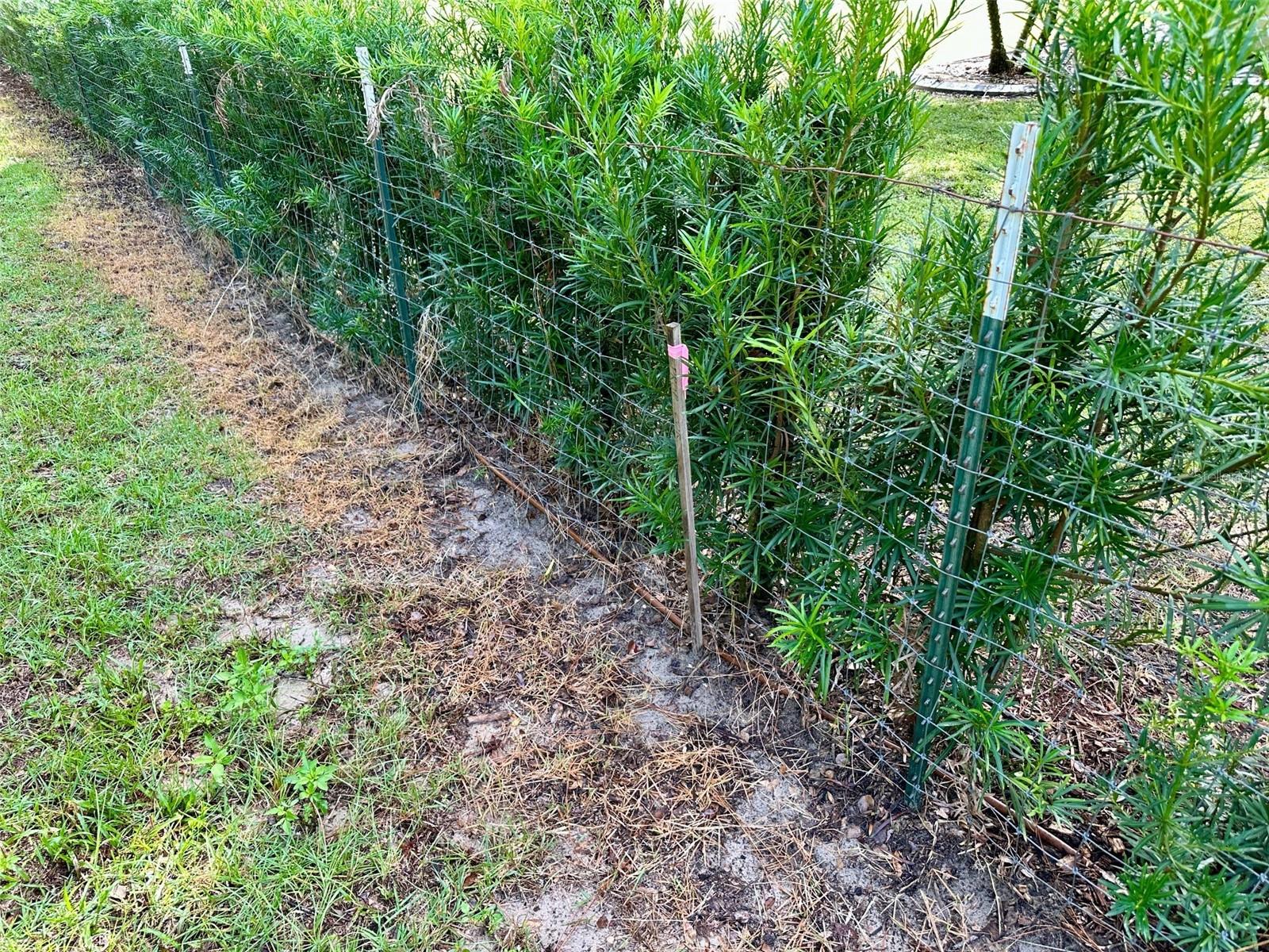 Image 8 of 8 For Thompson Road