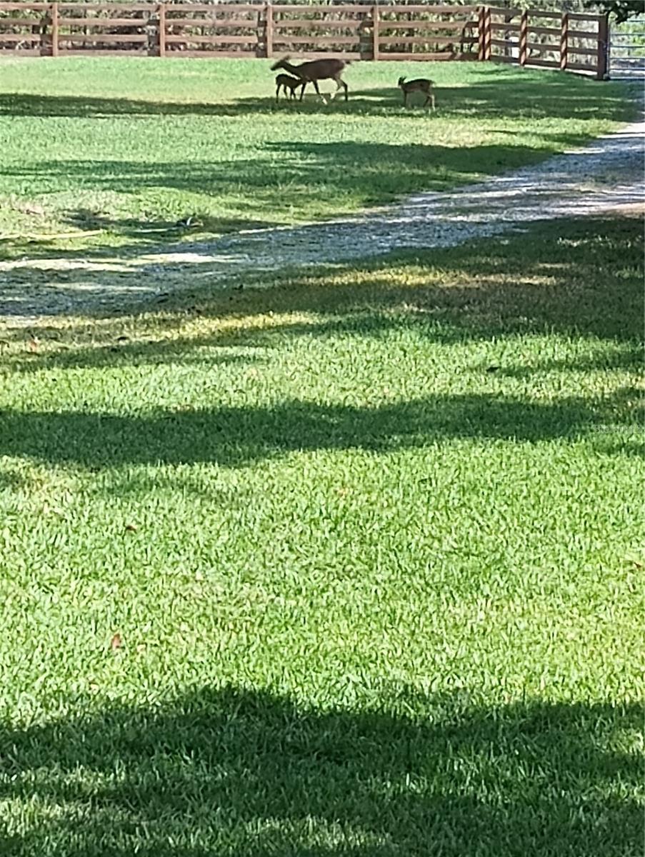 Image 11 of 53 For 372 Wekiva Park Drive