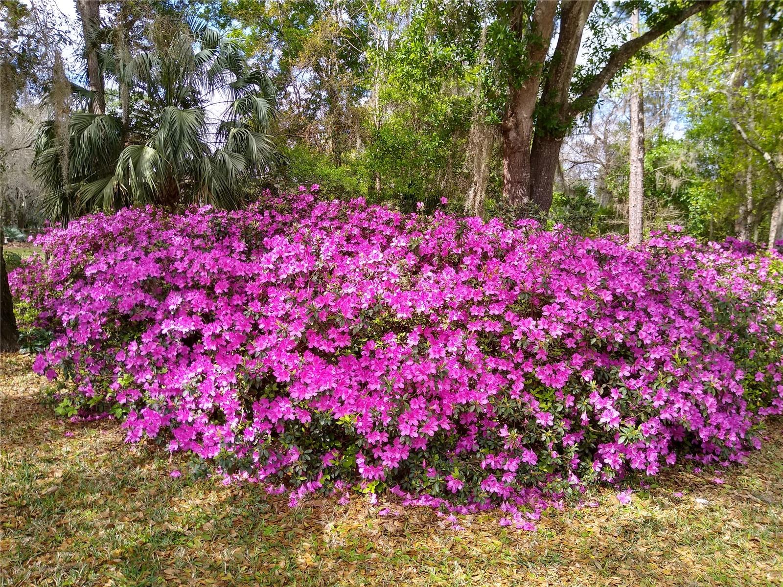 Image 47 of 53 For 372 Wekiva Park Drive