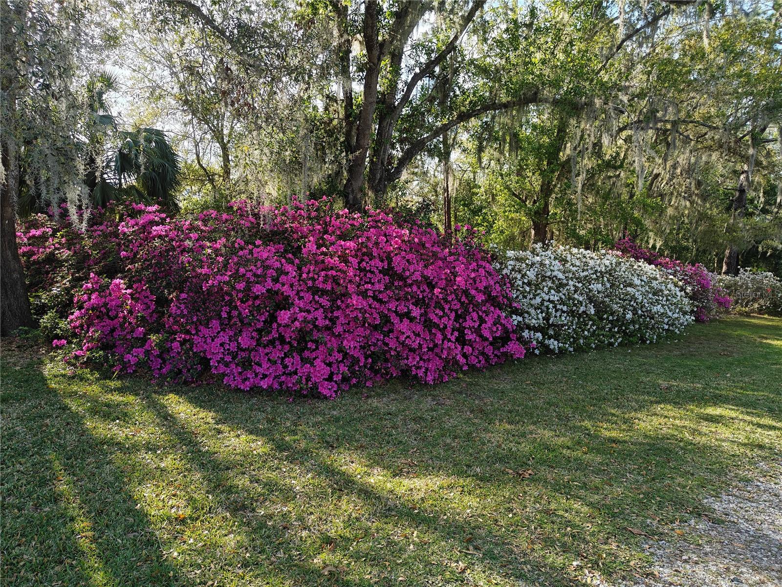 Image 48 of 53 For 372 Wekiva Park Drive