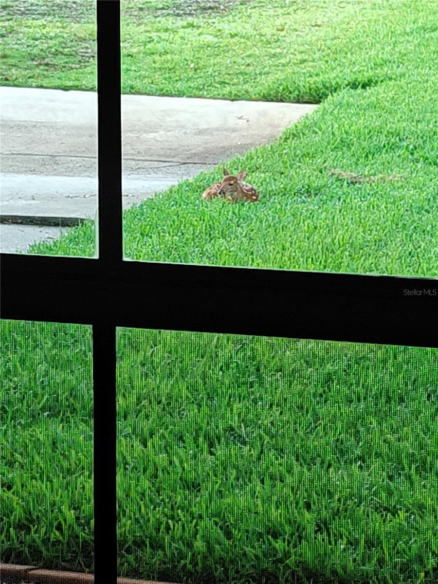 Image 49 of 53 For 372 Wekiva Park Drive