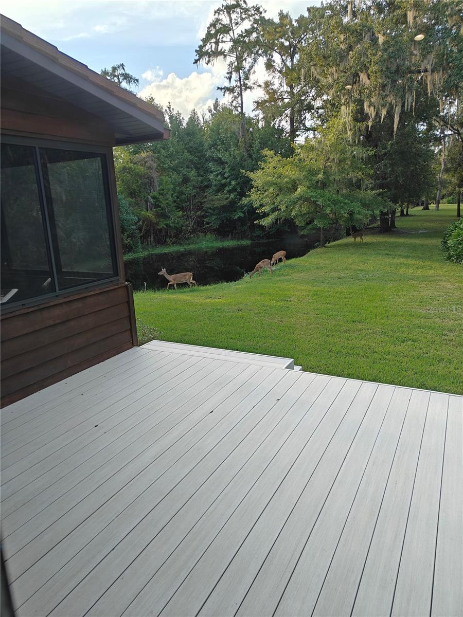 Image 50 of 53 For 372 Wekiva Park Drive