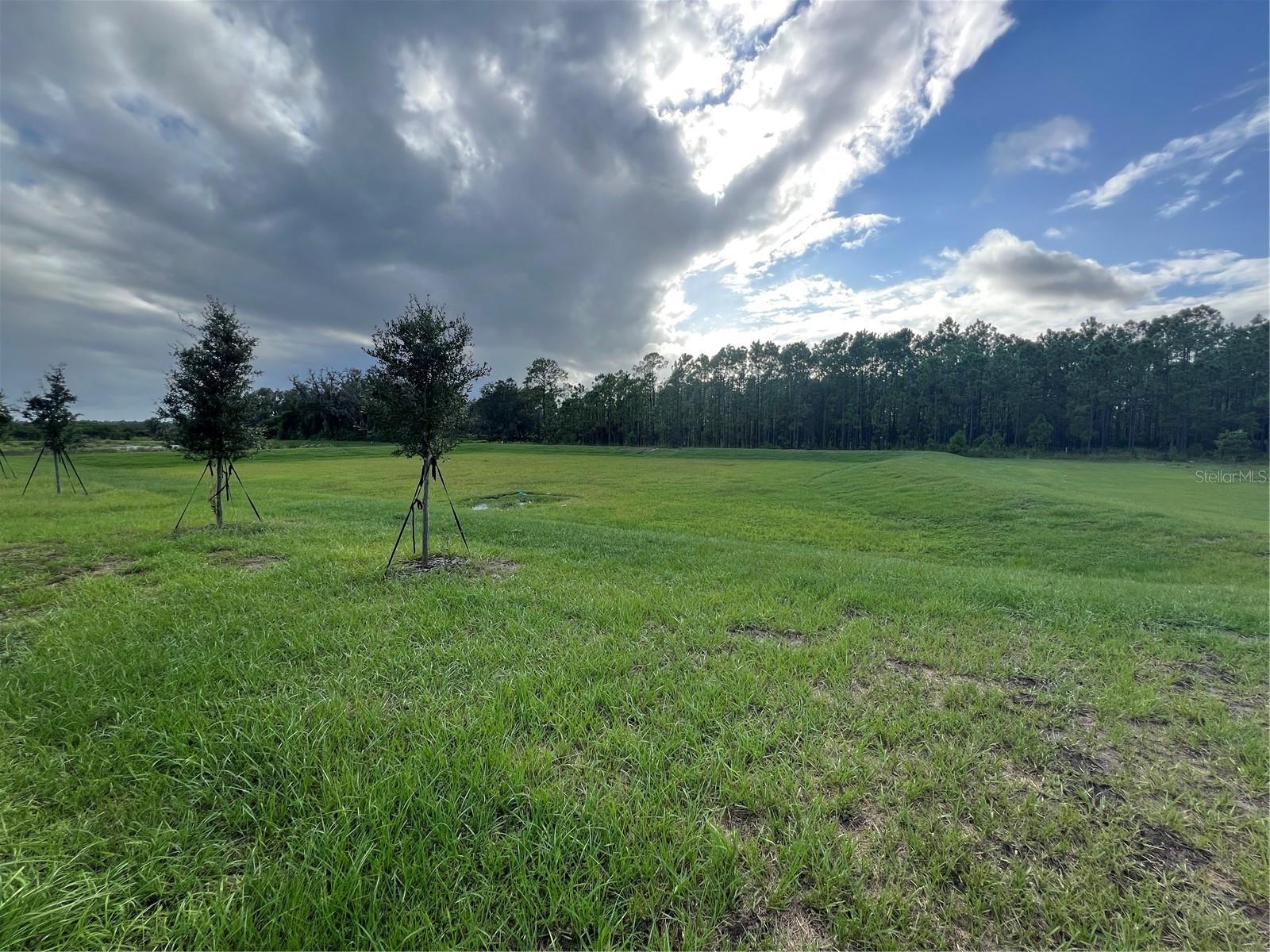 Image 5 of 15 For 2655 Angel Falls Drive