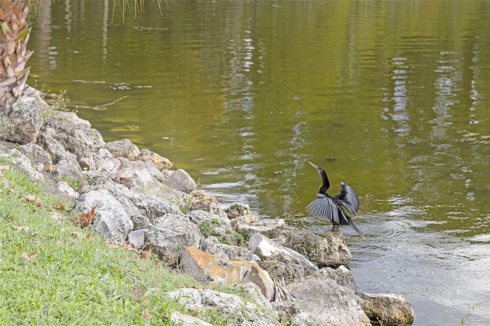 Image 41 of 79 For 1011 Liberty Avenue