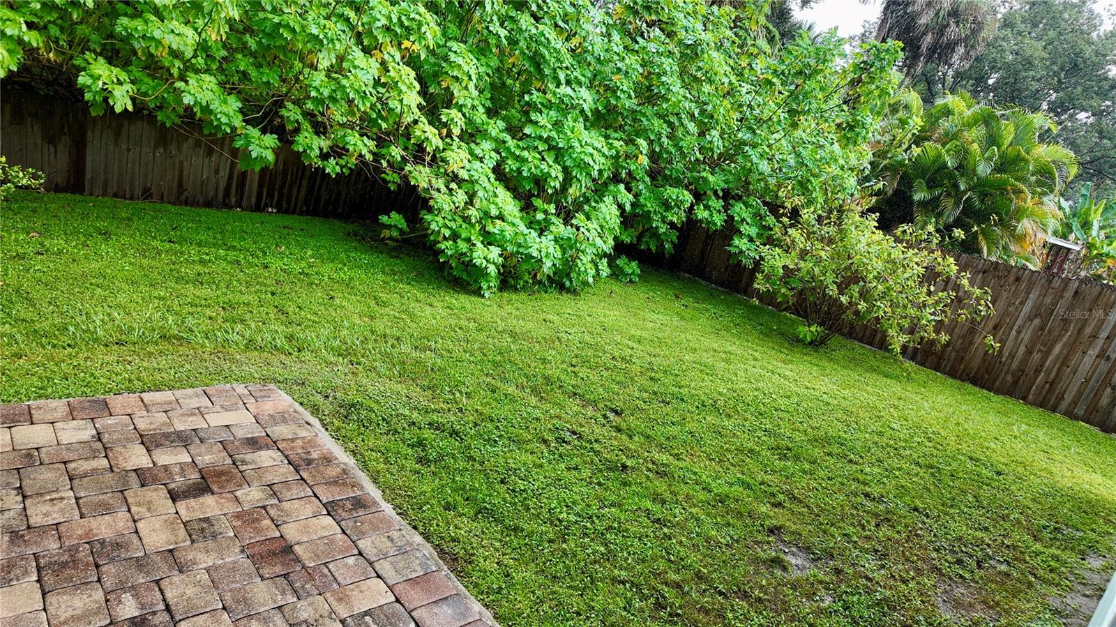 Image 16 of 19 For 768 Crows Bluff