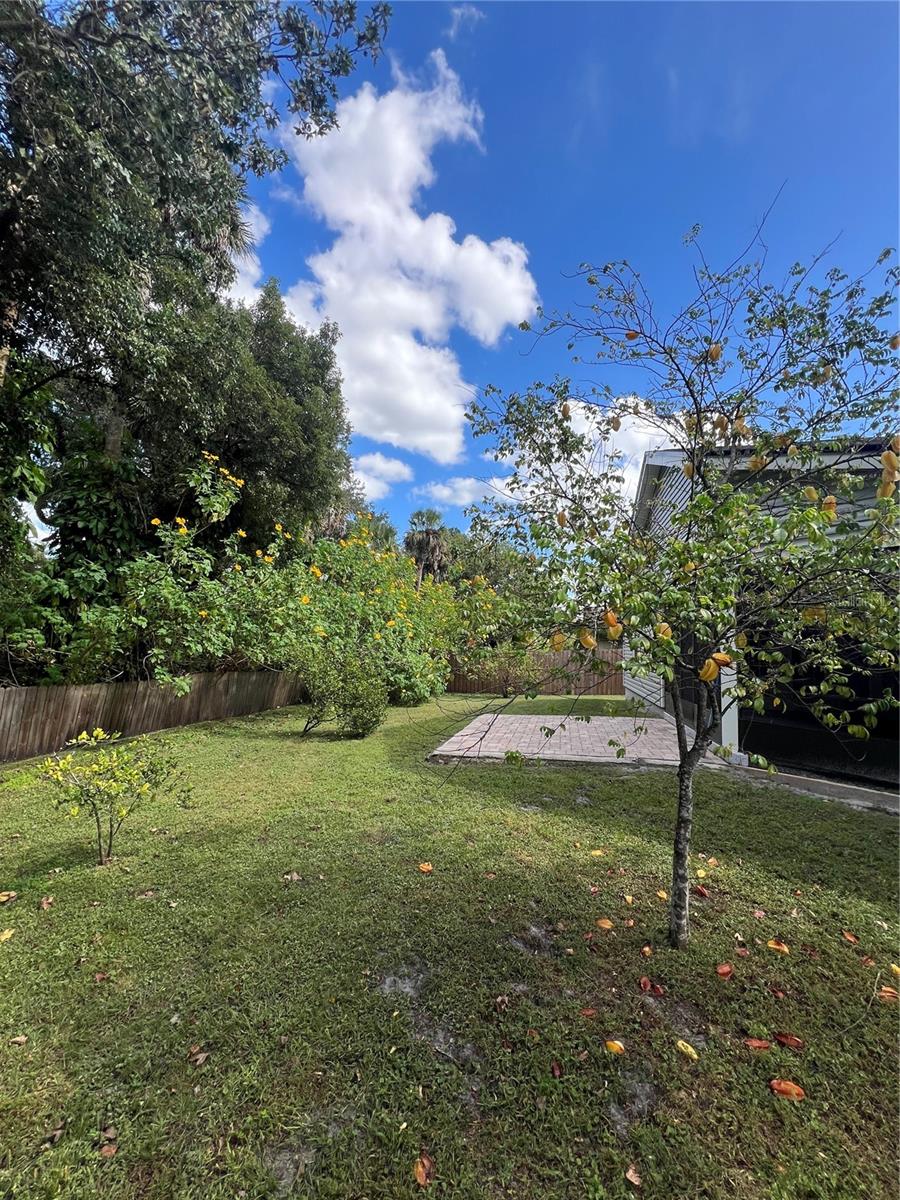 Image 19 of 19 For 768 Crows Bluff