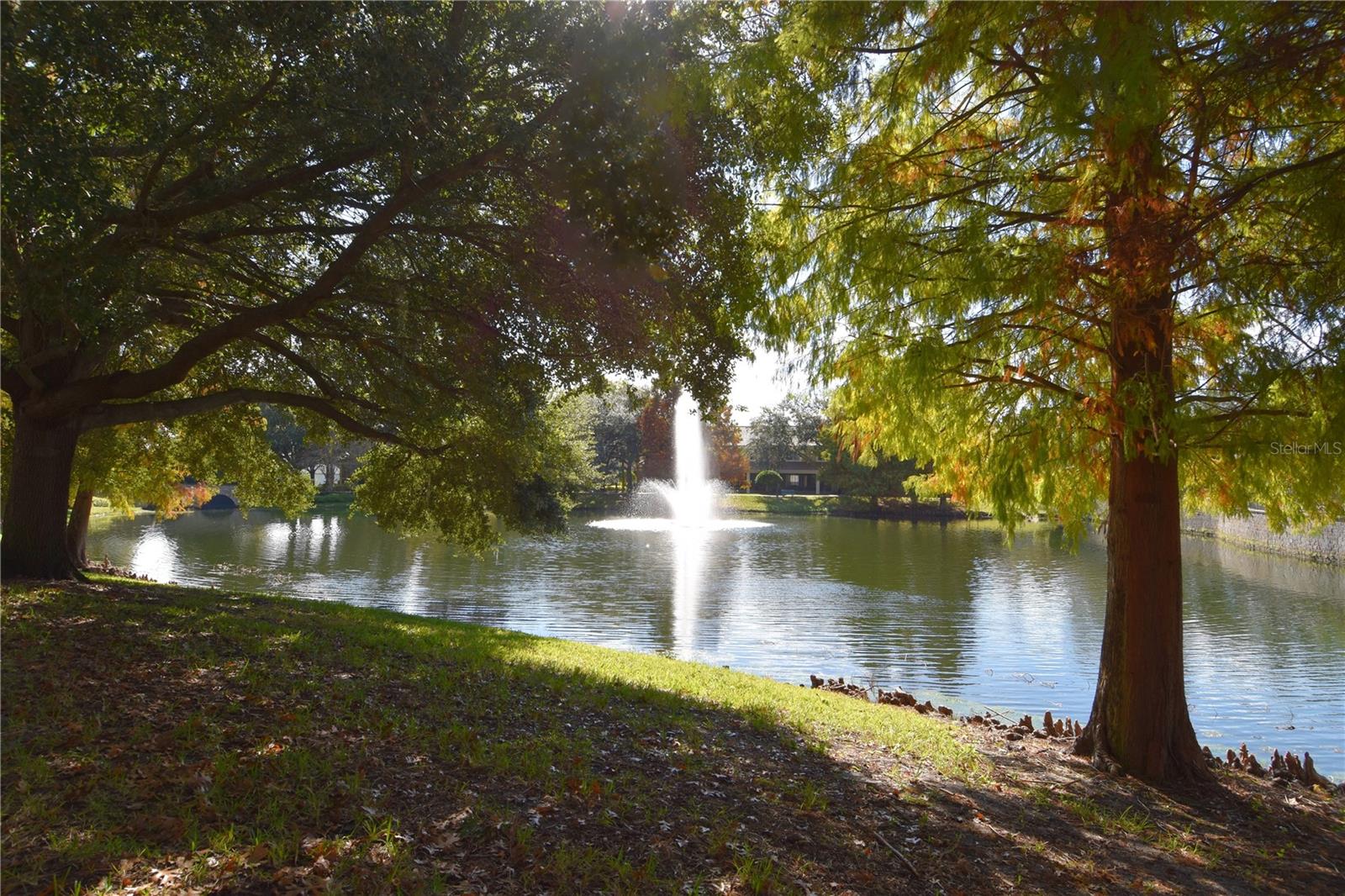 Image 31 of 37 For 6422 Agastia Court 103