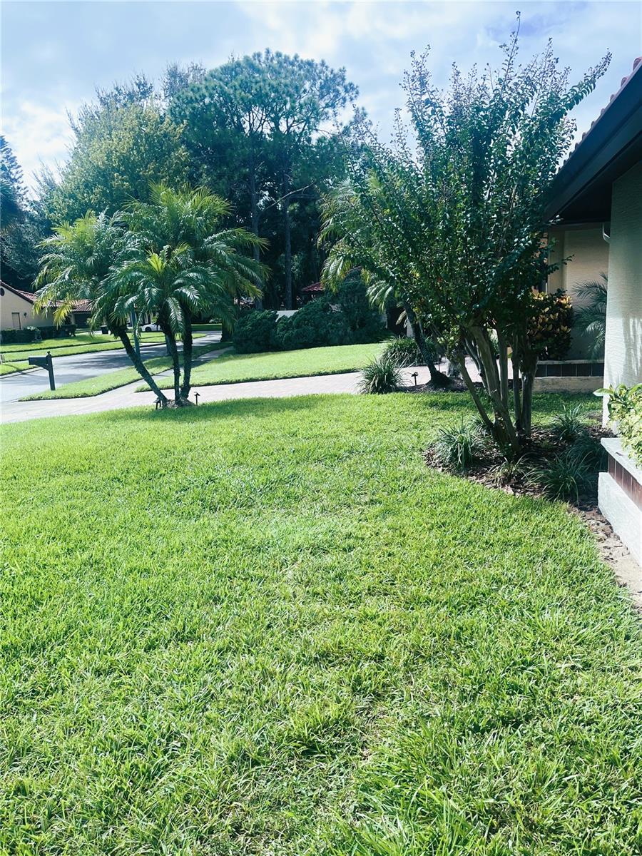 Image 56 of 59 For 8057 Marcella Drive