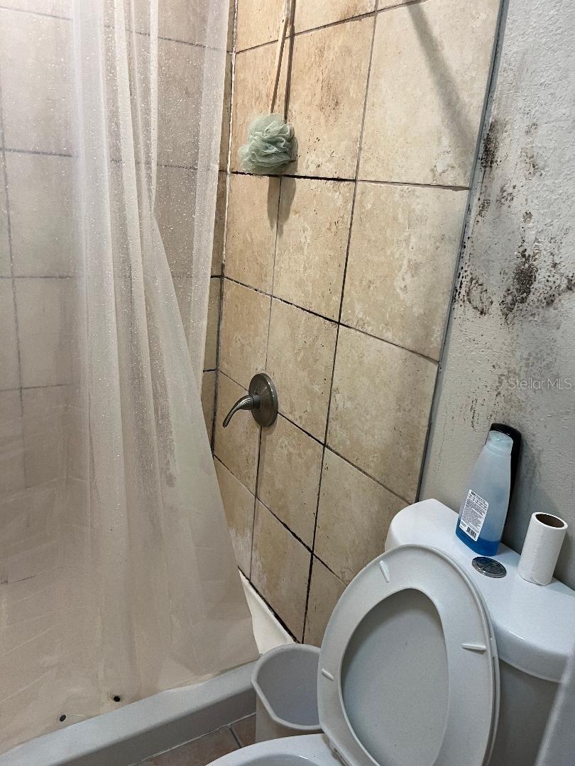 Image 11 of 13 For 8421 Orange Blossom Trail  258