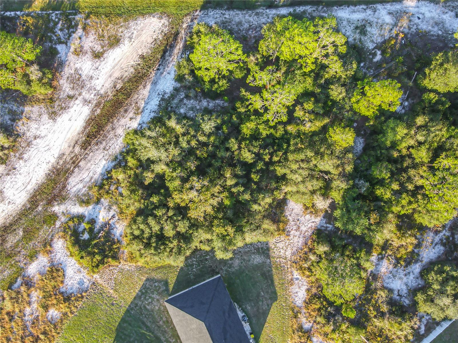 Image 16 of 20 For 1257 Amazon Lane