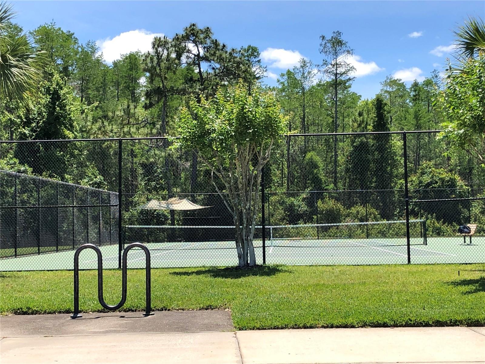 Image 42 of 45 For 10229 Lake District Lane 20