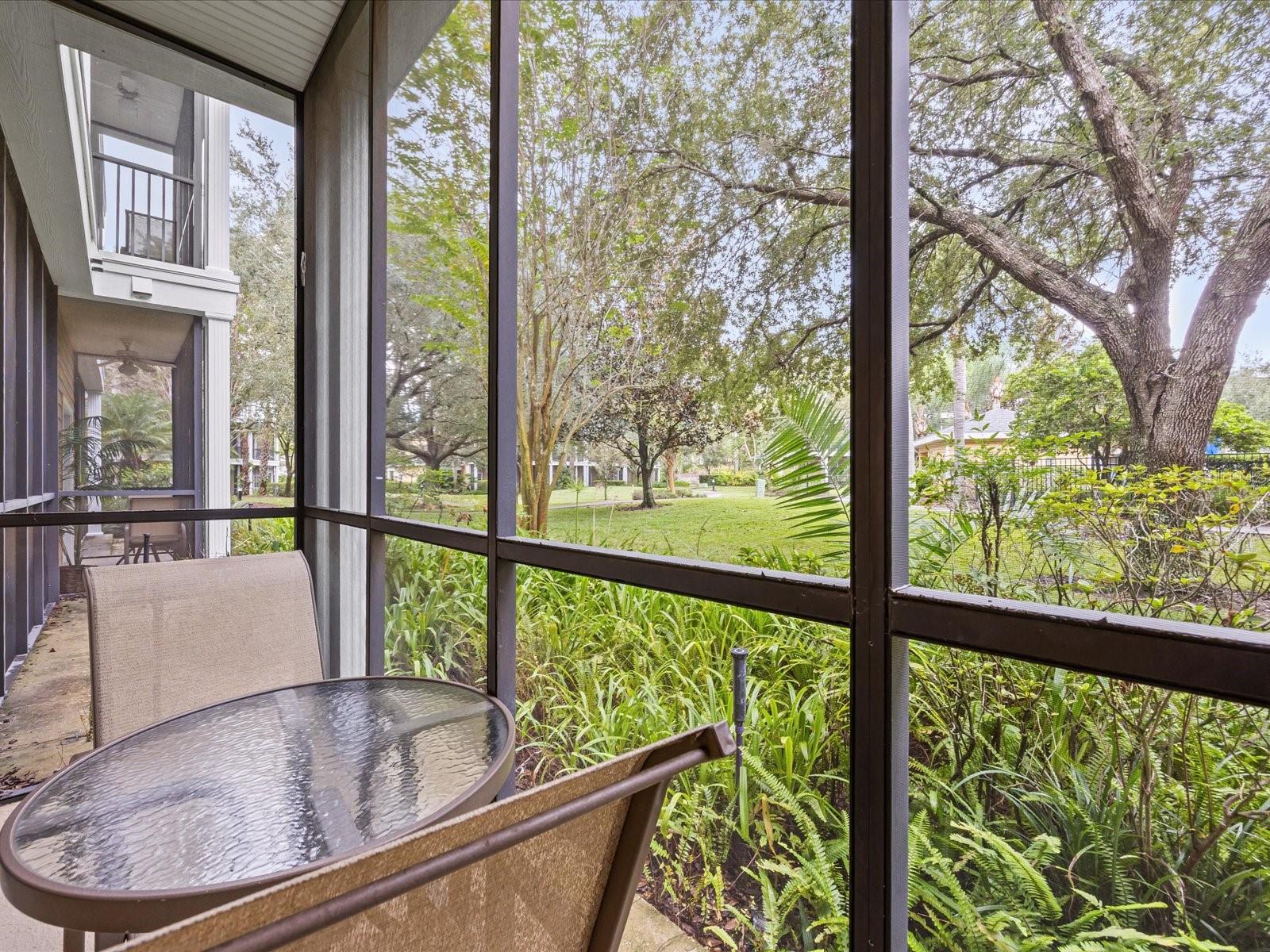 Image 24 of 26 For 503 Rum Run 503