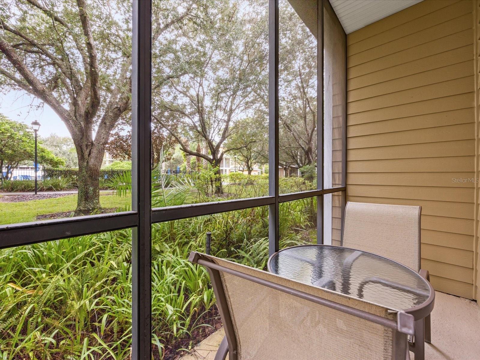 Image 25 of 26 For 503 Rum Run 503