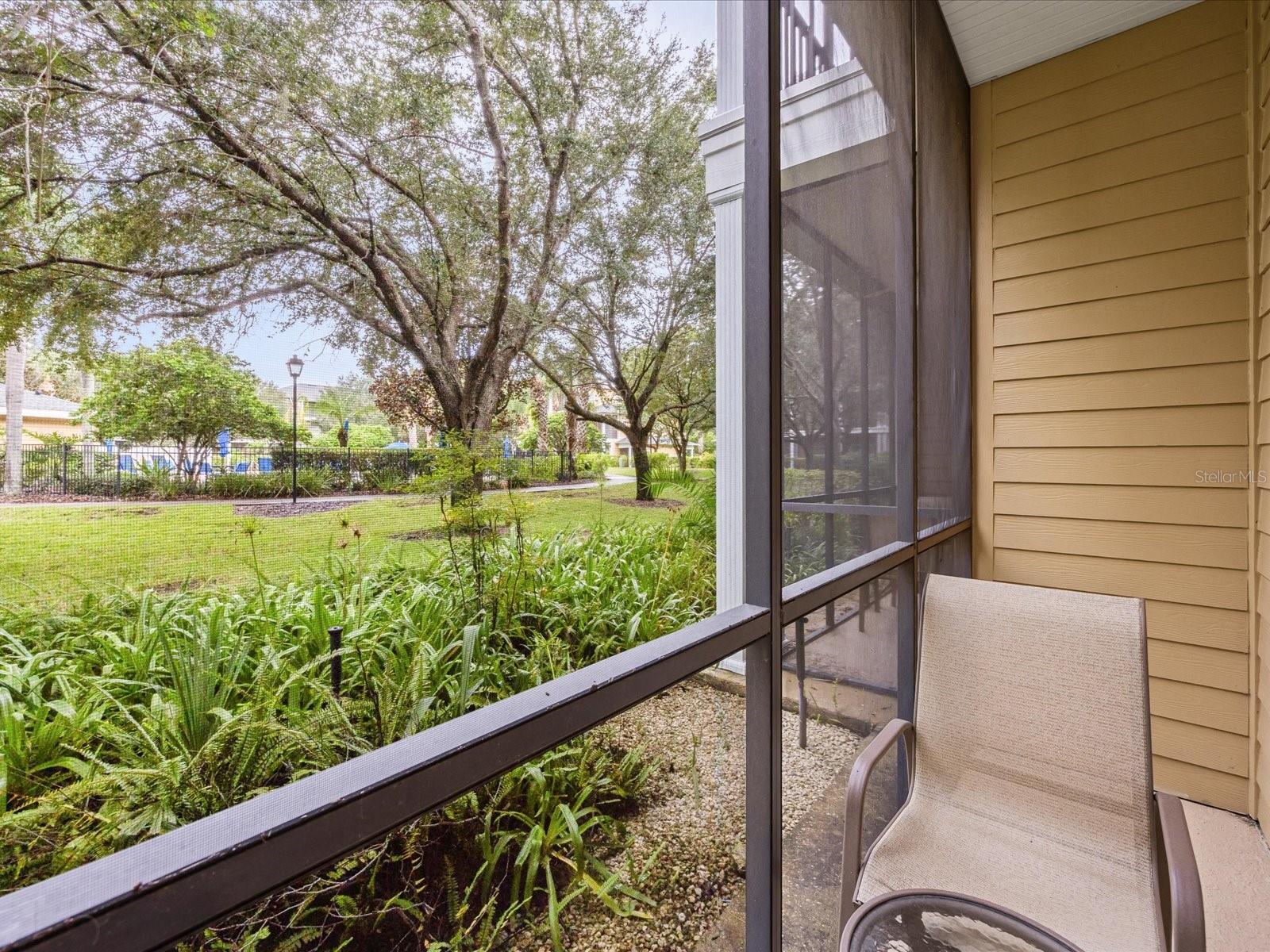 Image 26 of 26 For 503 Rum Run 503