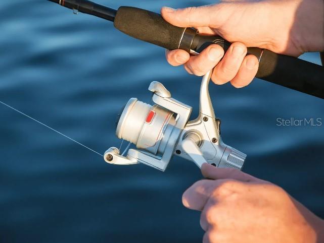 Listing photo id 16 for 12 Maidenbush Circle